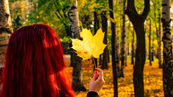 Изображение к статье: В Латвии за сутки побиты 20 температурных рекордов