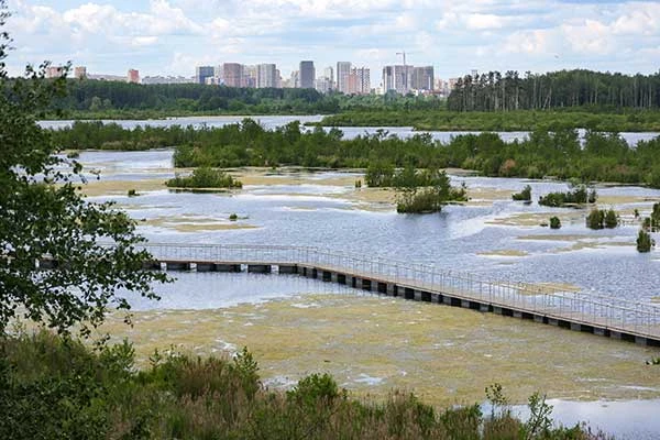 Изображение к статье: Стройки все ближе подступают к уникальным биотопам.