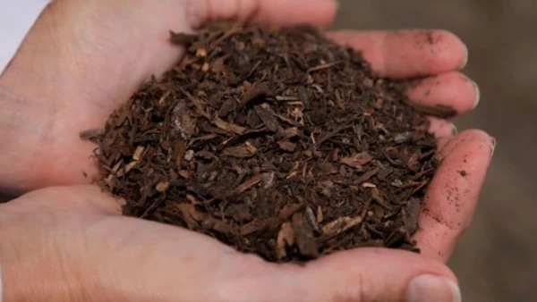 Изображение к статье: Жители американского Запада будут ближе к земле.