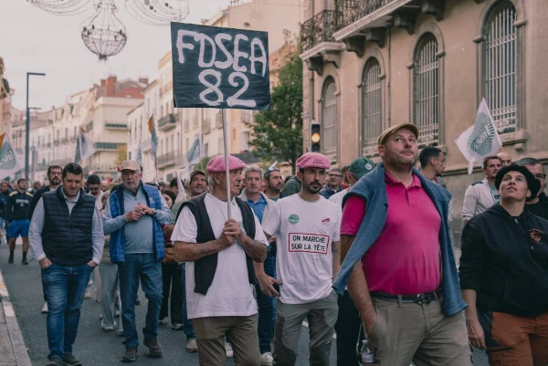 Изображение к статье: Пурпурные майки - отличие виноделов.