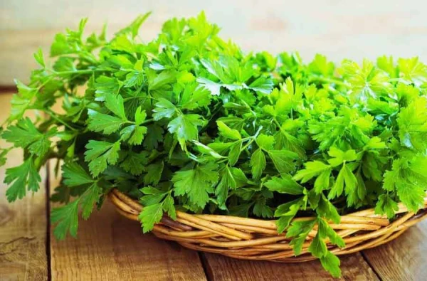 Изображение к статье: Врачи выделили продукты, способствующие повышению риска тромбообразования