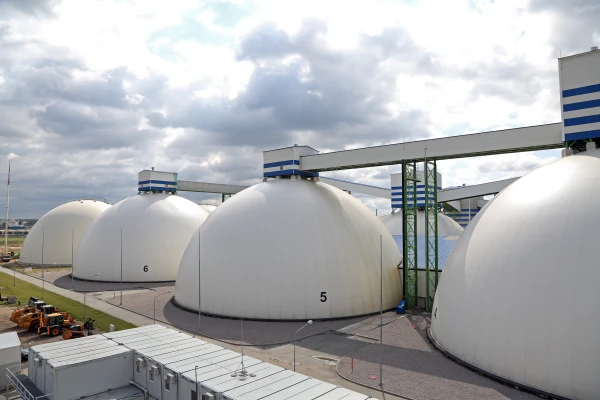 Изображение к статье: «Огнеупорный барьер» не сработал: правительство отказало Riga fertilizer terminal, опасаясь рисков и влияния Мазепина