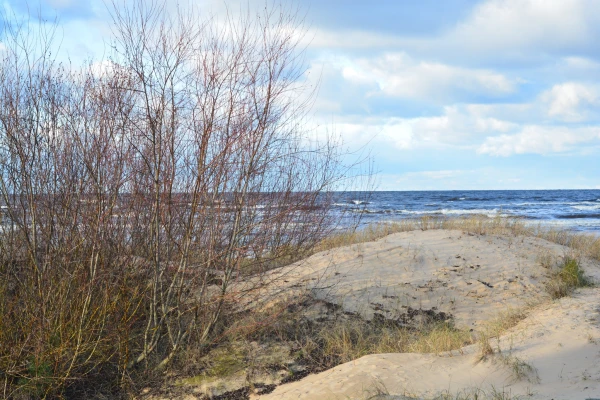 Изображение к статье: Европа приготовилась карать тех, кто загрязняет природу. Фото автора.