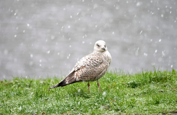 Изображение к статье: Синоптики рассказали, чего ждать в последний рабочий день недели