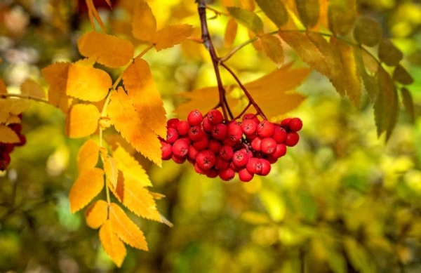 Изображение к статье: Синоптики порадовали прогнозом на выходные