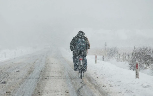 Изображение к статье: Снежная буря? На Латвию идет снег - синоптики