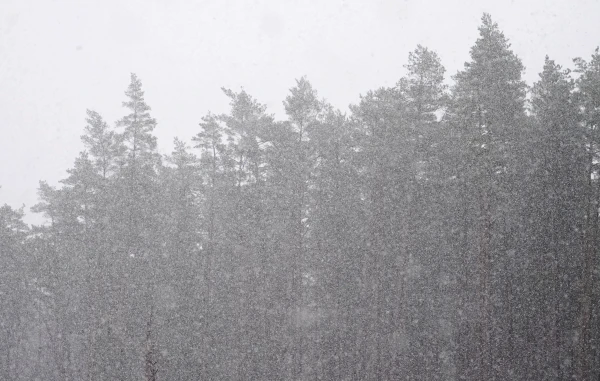 Изображение к статье: В Латвии началась метеорологическая зима