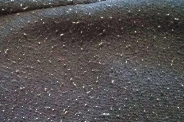 Изображение к статье: Существуют ли ткани, на которых катышки не появляются?