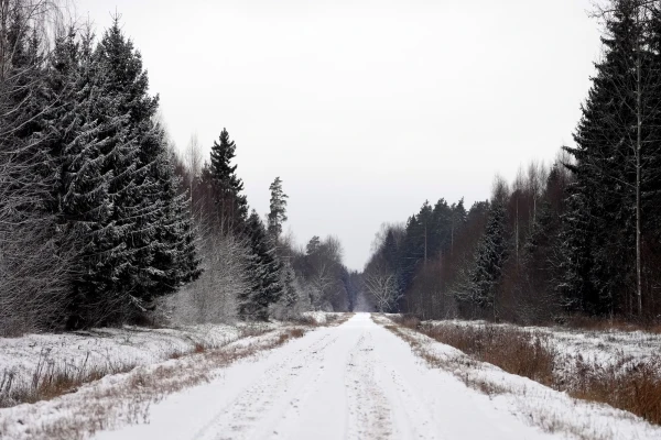 Изображение к статье: Во вторник существенных осадков не ожидается