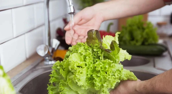 Изображение к статье: Почему нельзя мыть зелень сразу после покупки