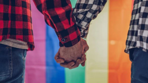 Изображение к статье: Все страны Евросоюза обязаны признавать однополые браки - суд