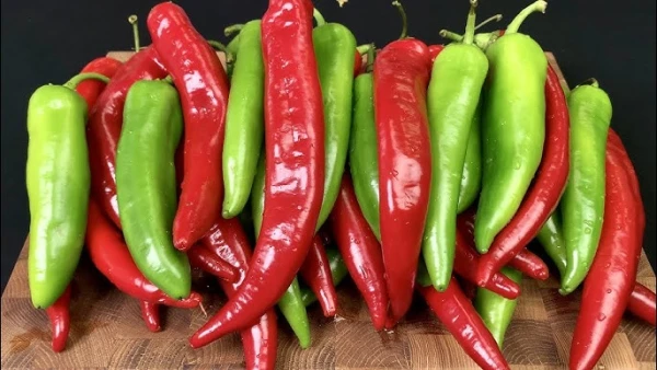 Изображение к статье: Ученые создали искусственный язык для точного измерения остроты продуктов