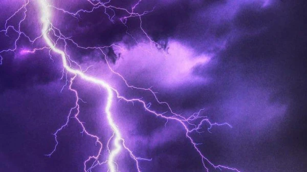 Изображение к статье: Способно ли дерево выжить после удара молнии?