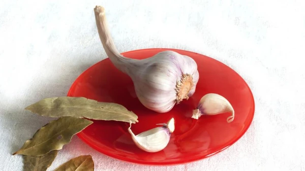 Изображение к статье: Принцесса Евгения рассказала о своей любви к запрещённому продукту во дворце