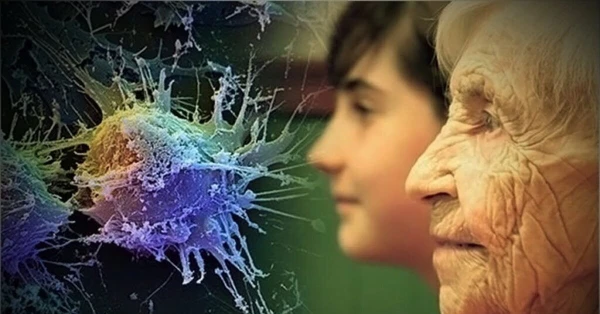 Изображение к статье: Врачи объяснили, почему воспаление ускоряет старение организма