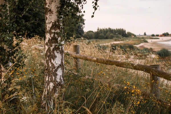 Изображение к статье: Уезжают из Риги: спрос на жильё в регионах стремительно растёт