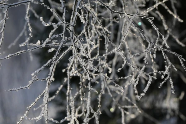 Изображение к статье: Сверху лед,  снизу лед. Синоптики не порадовали прогнозом на субботу