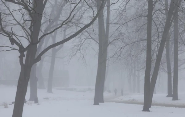 Изображение к статье: Сегодня в Латвии не так скользко, как вчера и без существенных осадков