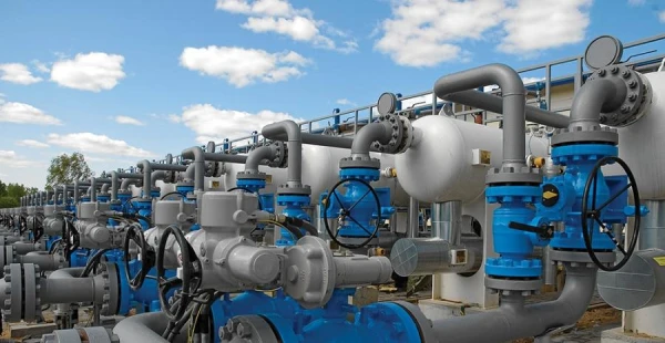 Изображение к статье: «Стакан наполовину пуст» - депутат бьет тревогу по поводу заполняемости Инчукалнского хранилища