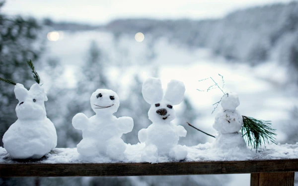 Изображение к статье: А будет ли снег, а мороз? Фенолог рассказал все о декабре