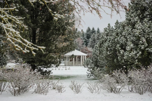 Изображение к статье: Фото:  nometnemellene.lv