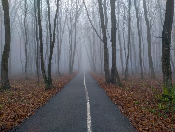 Декабрь похож на сентябрь: завтра в Латвии будет нетипично тепло