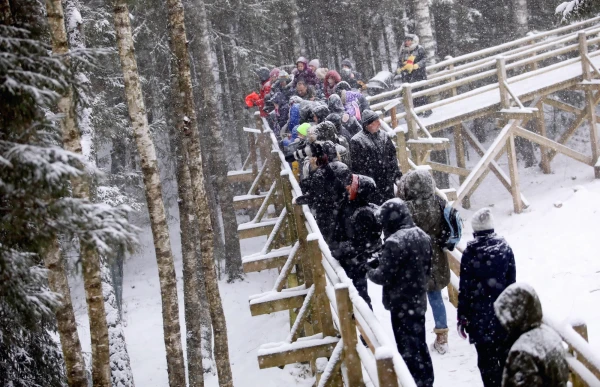 Изображение к статье: В Лигатне предлагают познакомиться с ночными обитателями леса