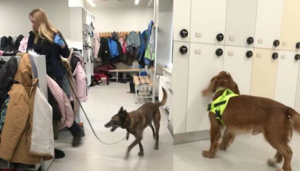 К школьникам в Царникаве прибыли полицейские с собаками в поисках запрещённых веществ