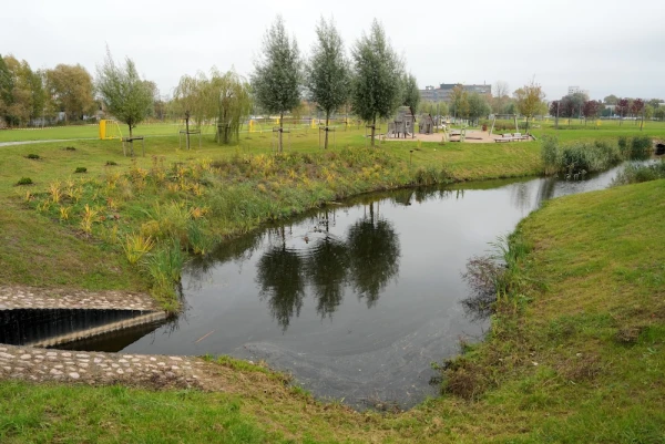 В прошлом году в большинстве районов Риги не посадили ни одного нового дерева