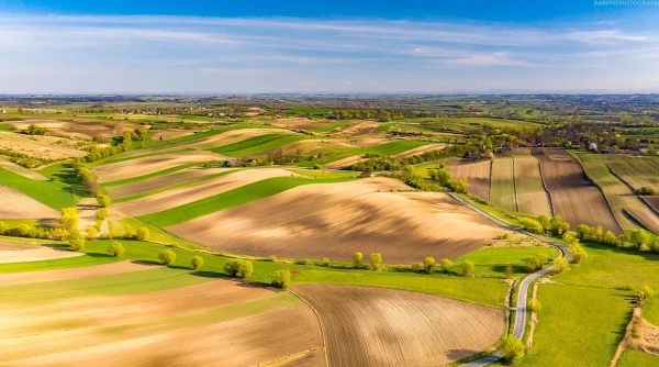 Изображение к статье: Эти края сравнивают с Тосканой.