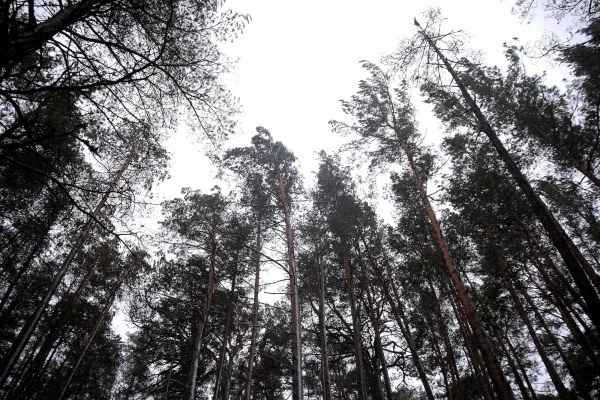 Во вторник погодные условия определяет южная часть циклона