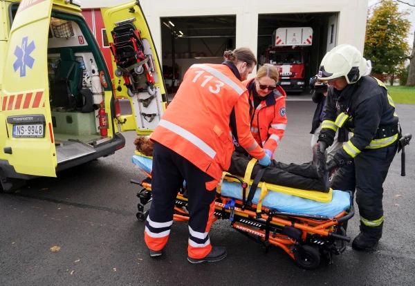 Изображение к статье: Реформа пенсий по выслуге: что изменится для медиков, силовиков, военных и работников культуры