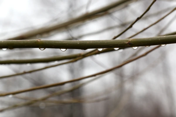 С юго-запада в Латвии приближаются атмосферные фронты