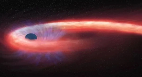 Изображение к статье: Перед тем, как вещество звезды падает в черную дыру, оно закручивается вокруг нее в виде аккреционного диска.