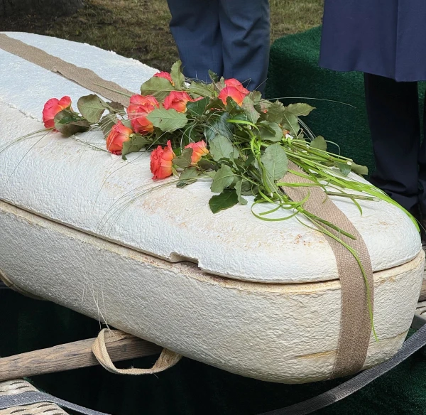 Изображение к статье: Нидерланды