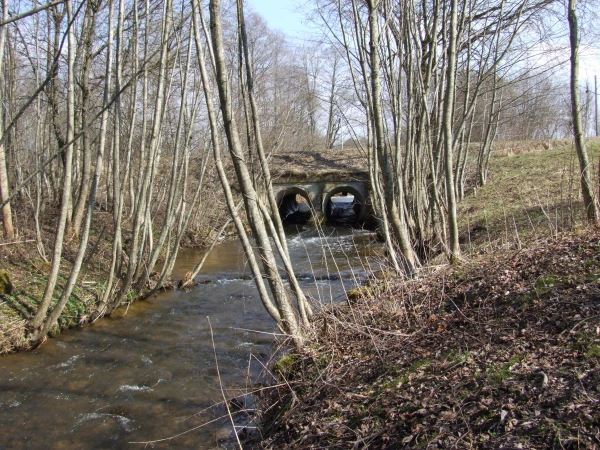 Изображение к статье: Экологи бьют тревогу: выпрямленные реки усиливают наводнения в Латвии