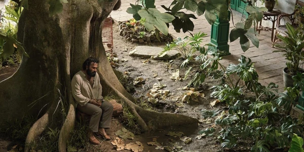 Вторая часть «Ста лет одиночества» выйдет в августе 2026 года