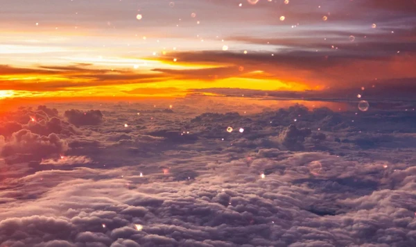 Изображение к статье: Остроумный план ученых может натолкнуться на общественное недовольство.