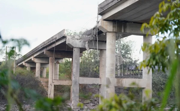 Изображение к статье: Разрушаются немногие коммуникации в непроходимых джунглях.