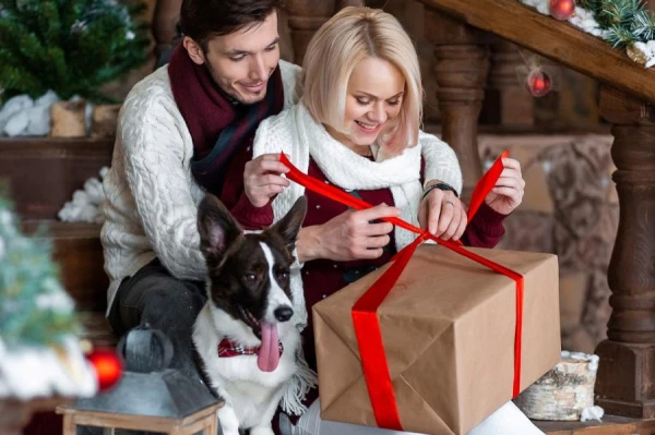 Изображение к статье: 36% жителей планируют потратить на празднование Рождества и Нового года от 50 до 150 евро