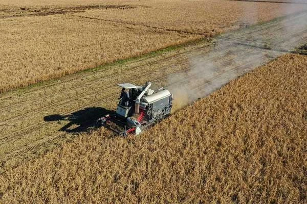 На полях Поднебесной эффективно работает техника.