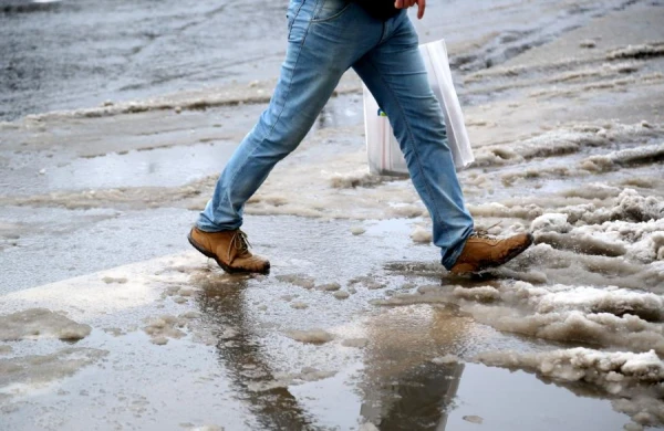 Изображение к статье: Сегодня в Латвии небольшие осадки и плюсовая температура