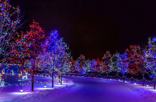 Изображение к статье: Синоптики назвали дату начала астрономической зимы в Латвии