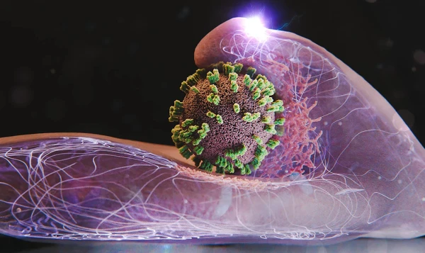 Жизнь организма оказалась под угрозой.