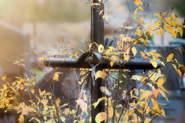 Кладбище Матиса - место упокоения героев