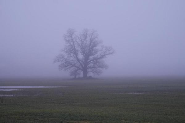 Во вторник местами пройдут дождь и снег