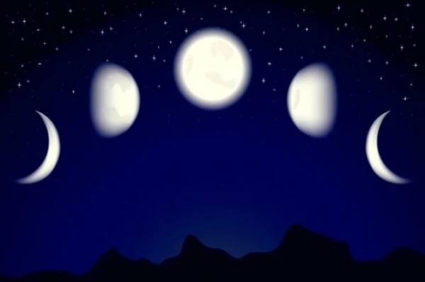 Как фазы луны влияют на растения?