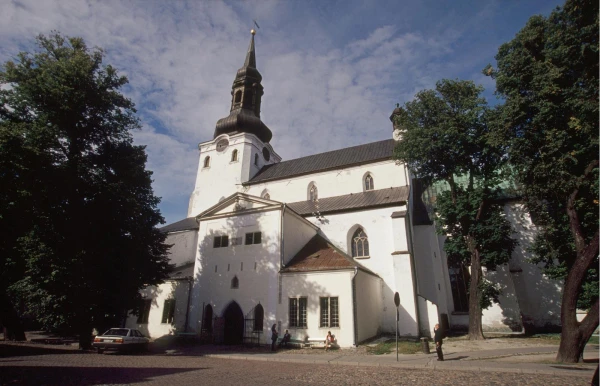 Изображение к статье: Тук-тук, кто там? В Эстонии нашли дверь, которую изготовили более 600 лет назад