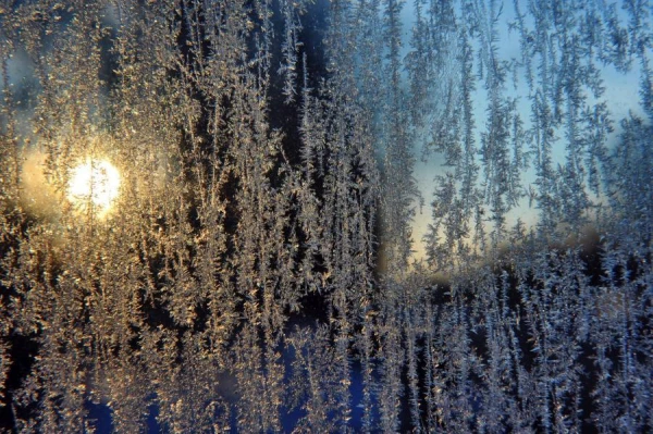 Изображение к статье: Латвия получила прогноз на Рождественскую неделю: мороз до -10. А что со снегом?