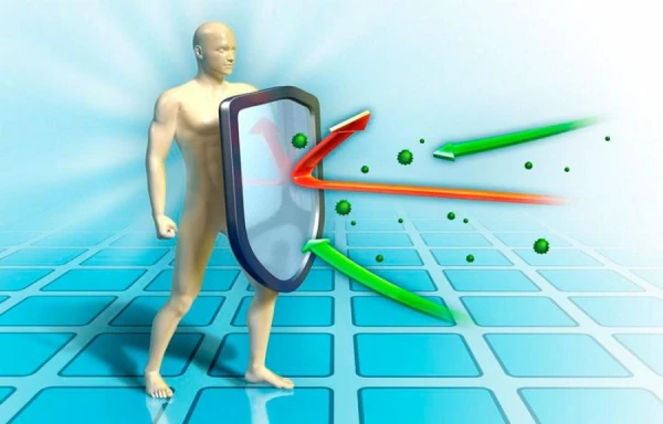 Что такое иммунитет, как он функционирует и возможно ли его улучшить